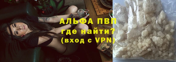 крисы Алзамай