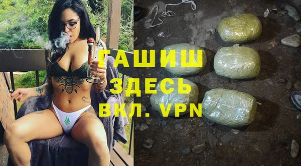 крисы Алзамай