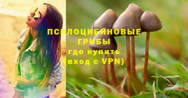 крисы Алзамай