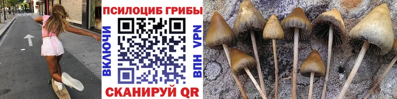 где купить наркоту  Белгород  Псилоцибиновые грибы ЛСД 