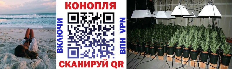 ОМГ ОМГ вход  Белгород  Бошки Шишки план 
